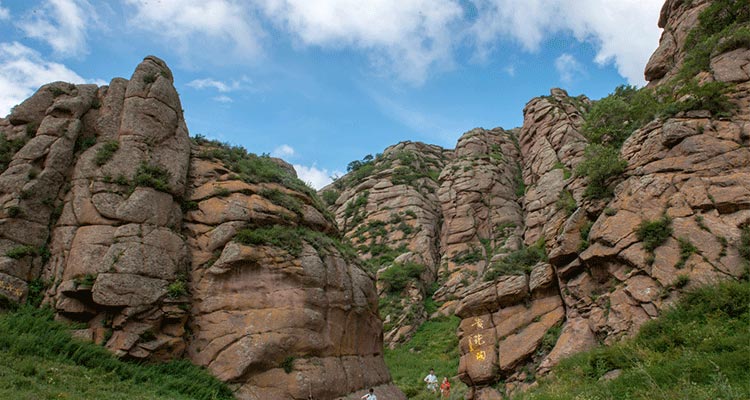 have a light walk in the grassland