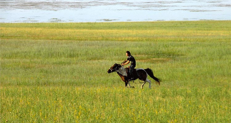 watching archery and wrestling