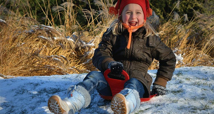 the bonfire party in the grassland