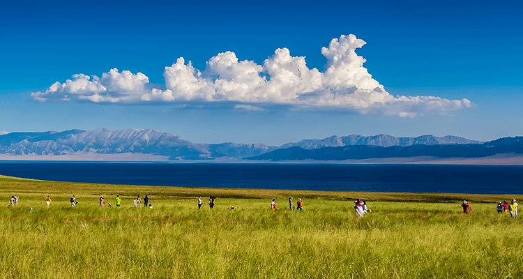 Walking on the grass land by the blue lake