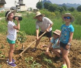 Farming Activities