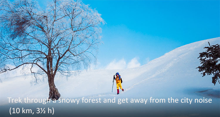 China Highlights' Special Discovery Experiences