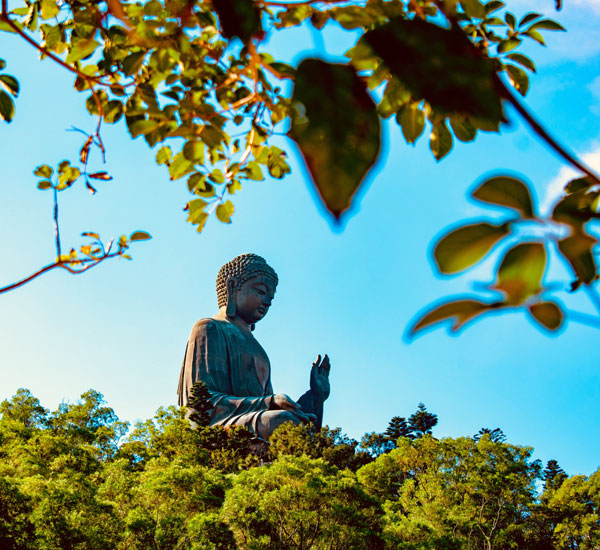 Hong Kong Island Half-day Tour