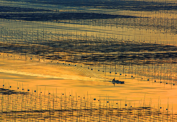 Xiapu Mudflat