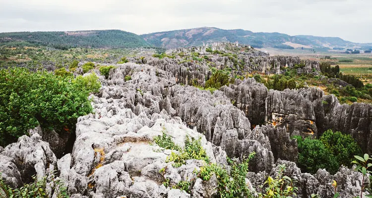 Naigu Stone Forest