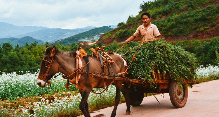 China Highlights' Special Discovery Experiences