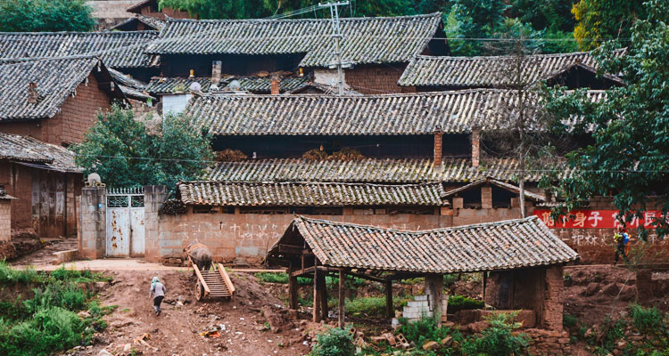 China Highlights' Special Discovery Experiences