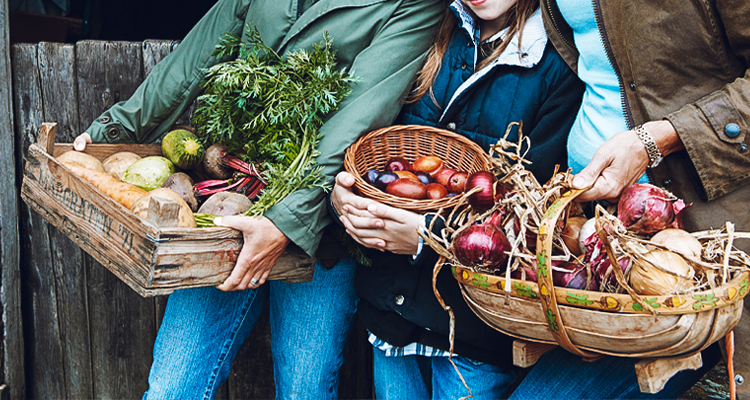 Pick some fresh vegetables in the fields and cook them for dinner