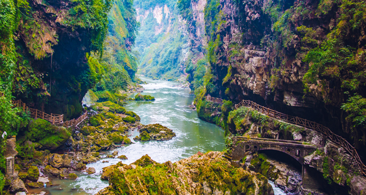 trains running across the bridge high aboveyour head