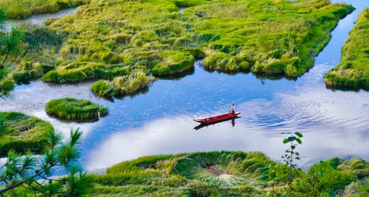 the floating meadow