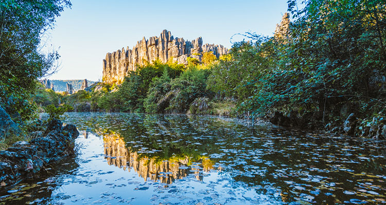 La Forêt de pierre noire de Naigu