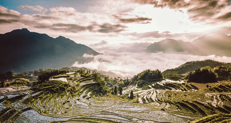 Fully Unlock the beauty of the Yuanyang Rice Terraces at the Best Time — Spring