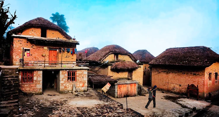 Fully Unlock the beauty of the Yuanyang Rice Terraces at the Best Time — Spring