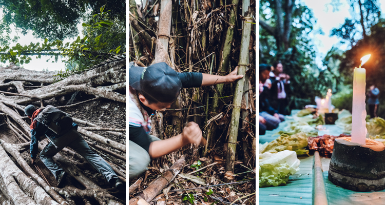 go to a wilder rainforest area and have an exciting jungle adventure