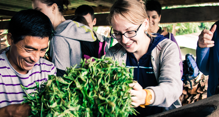 Making China's Famous Pu'er Tea
