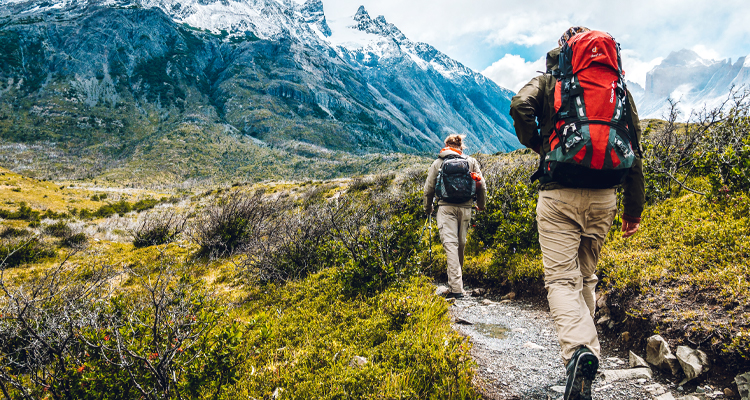 Hike along the stream in the forest