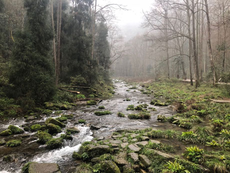 Jinbian Stream in Zhangjiajie