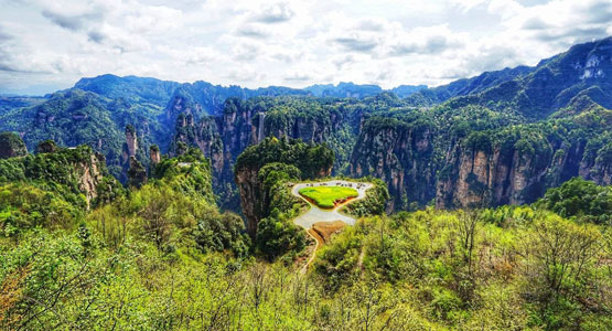 Sky Field Garden in Zhangjiajie