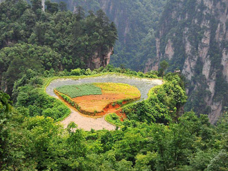 Sky Field Garden in Zhangjiajie