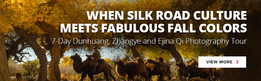 7-day Dunhuang, Zhangye, and Ejina qi Photography Tour