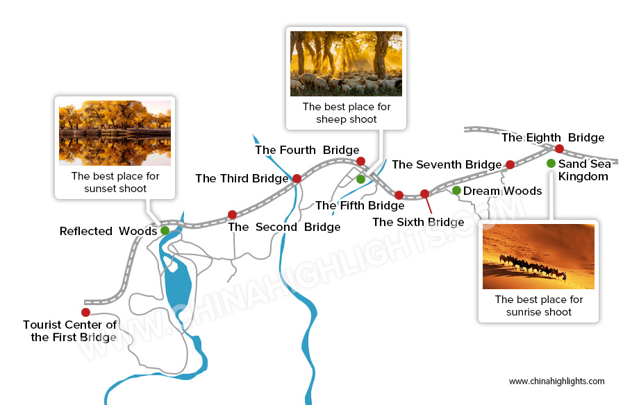 Ejina Desert Poplar Forest Map