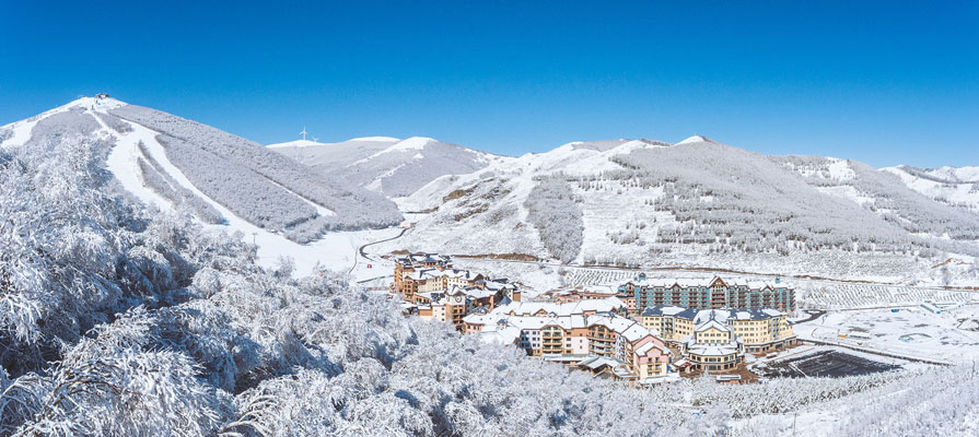 Skiing