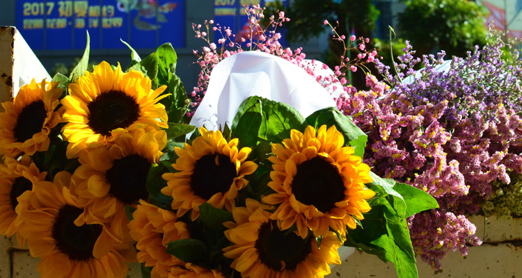 Dounan Flower Market
