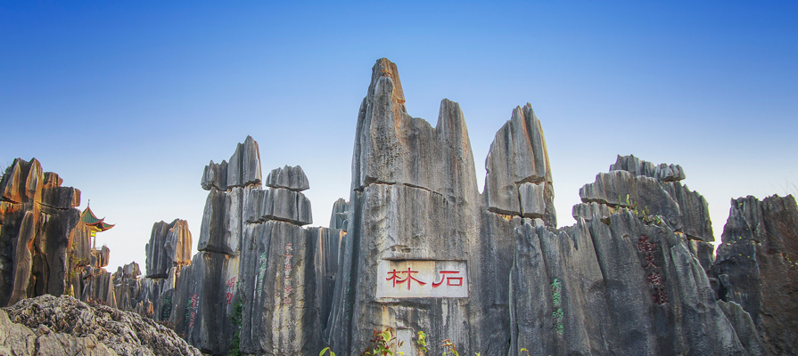Stone Forest
