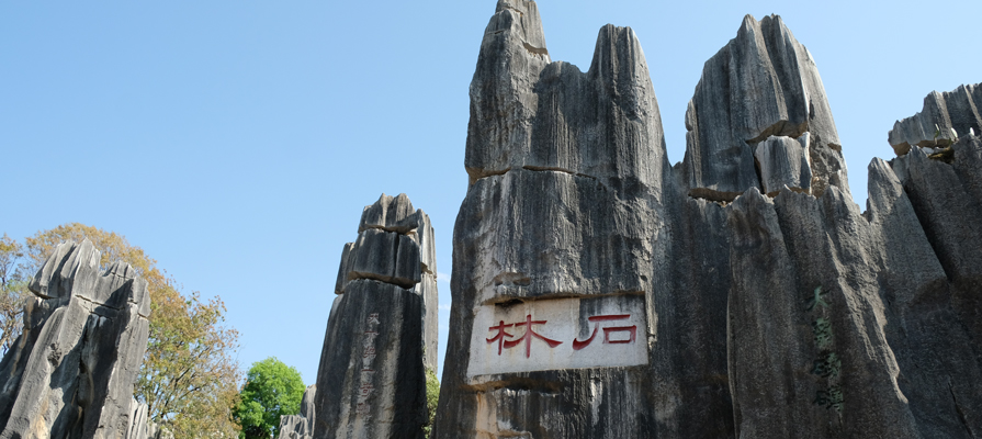 stone Forest