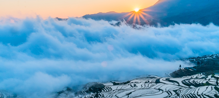 Yuanyang Rice Fields
