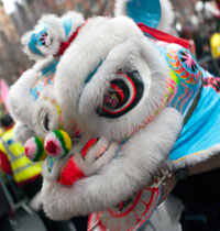 Nouvel an Chinois