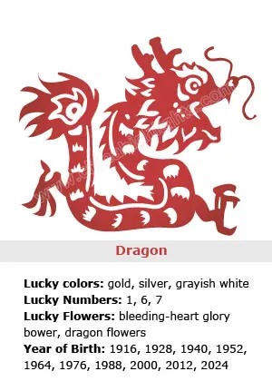 Chinese Zodiac Dragon Five Elements: Character, and Destiny Analysis for  People Born in a Year of the Dragon