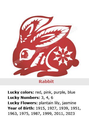 Five Elements, Character, and Destiny Analysis for People Born in a Year of the Rabbit