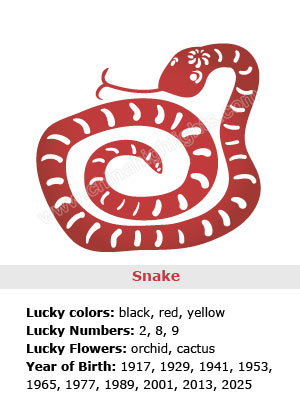 Snake Chinese Zodiac Sign Symbolism