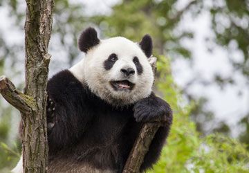 Premières Impressions de la Chine